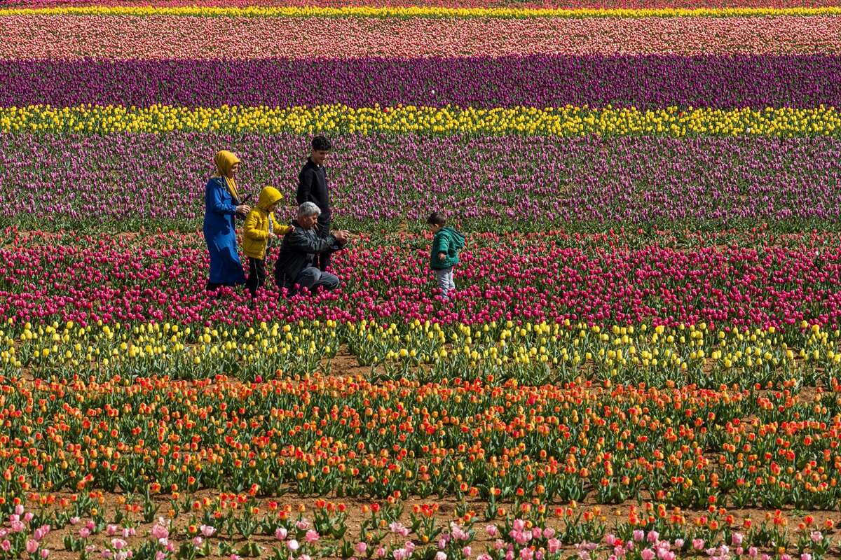 Konya’dan günübirlik kaçanlar çok! Ünlü lale cenneti ziyaretçilerini bekliyor 12